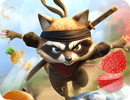 Ninja Racoon Frenzy
